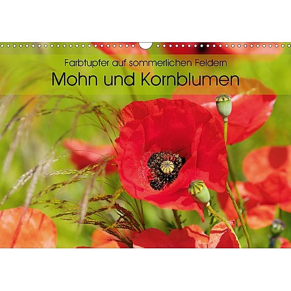 Farbtupfer auf sommerlichen Feldern - Mohn und Kornblumen (Wandkalender 2021 DIN A3 quer), Anja Frost