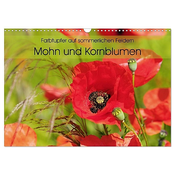 Farbtupfer auf sommerlichen Feldern - Mohn und Kornblumen (Wandkalender 2024 DIN A3 quer), CALVENDO Monatskalender, Anja Frost