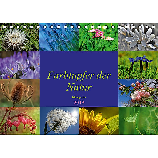 Farbtupfer der Natur - Blütenpracht (Tischkalender 2019 DIN A5 quer), Susan Michel