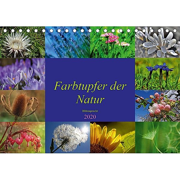 Farbtupfer der Natur - Blütenpracht (Tischkalender 2020 DIN A5 quer), Susan Michel