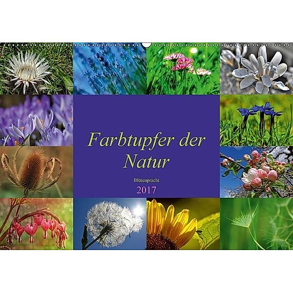 Farbtupfer der Natur - Blütenpracht (Wandkalender 2017 DIN A2 quer), Susan Michel