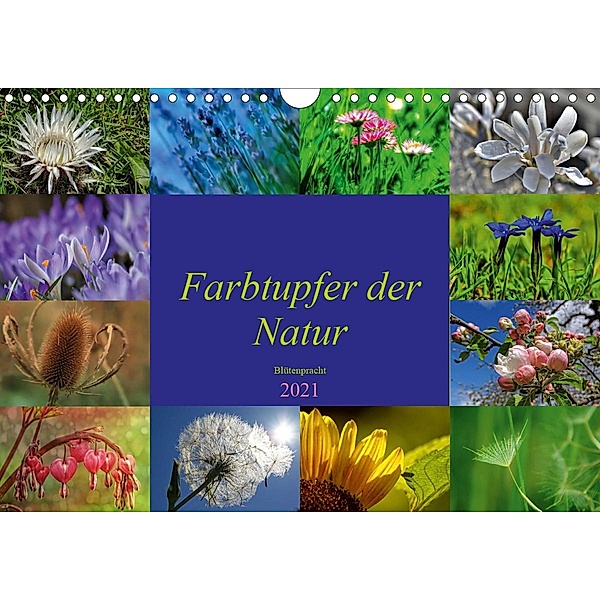 Farbtupfer der Natur - Blütenpracht (Wandkalender 2021 DIN A4 quer), Susan Michel