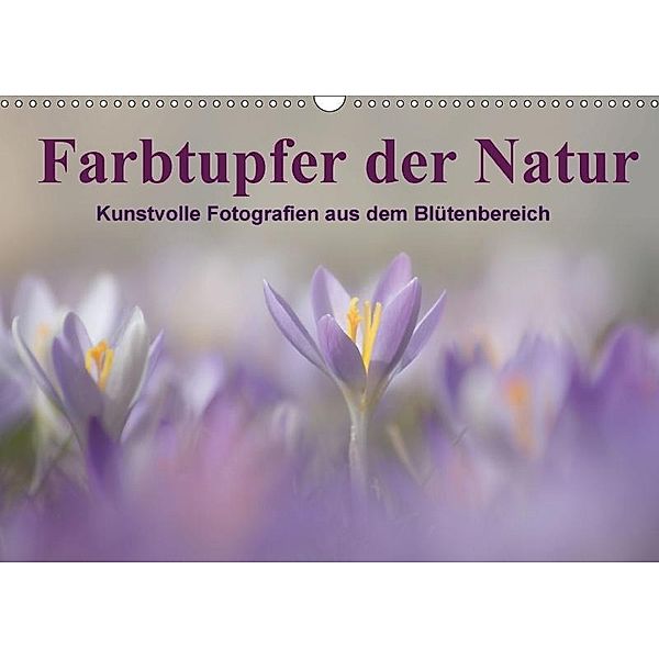 Farbtupfer der Natur / Kunstvolle Fotografien aus dem Blütenbereich (Wandkalender 2017 DIN A3 quer), Susan Michel