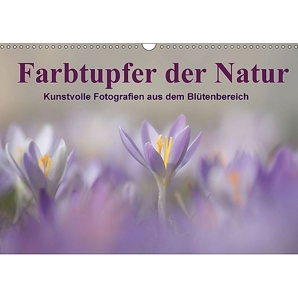 Farbtupfer der Natur / Kunstvolle Fotografien aus dem Blütenbereich (Wandkalender 2018 DIN A3 quer), Susan Michel