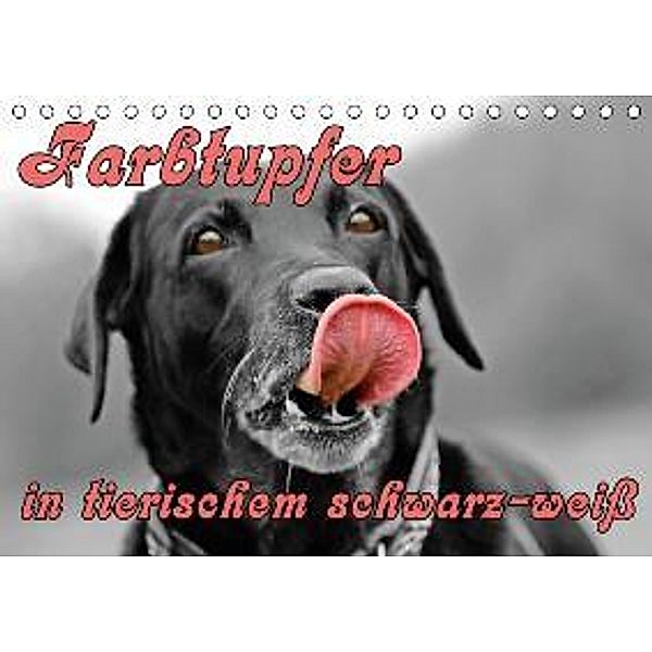 Farbtupfer in tierischem schwarz-weiß (Tischkalender 2015 DIN A5 quer), www.töffelshop.de