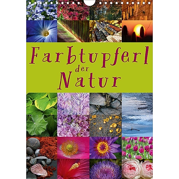 Farbtupferl der Natur (Wandkalender 2020 DIN A4 hoch), Martina Cross