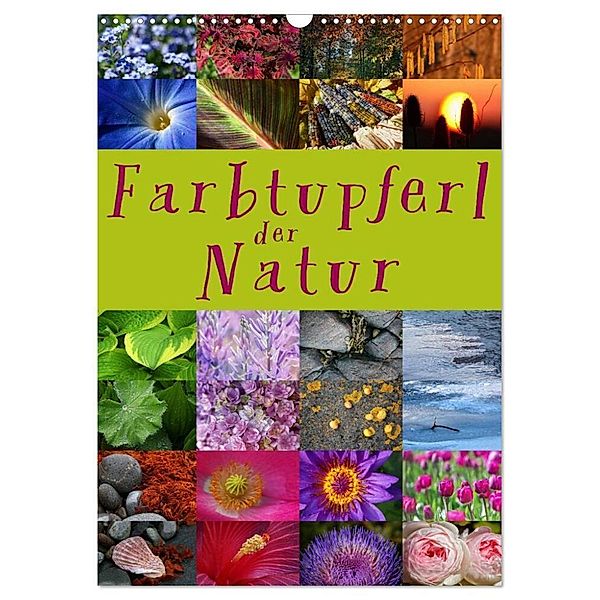 Farbtupferl der Natur (Wandkalender 2024 DIN A3 hoch), CALVENDO Monatskalender, Martina Cross