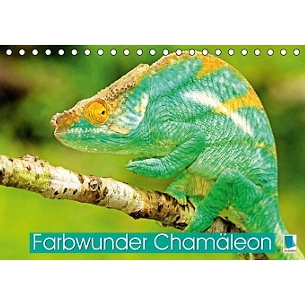 Farbwunder Chamäleon (Tischkalender 2017 DIN A5 quer), CALVENDO
