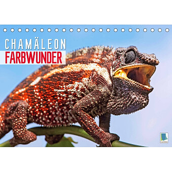 Farbwunder Chamäleon (Tischkalender 2022 DIN A5 quer), Calvendo