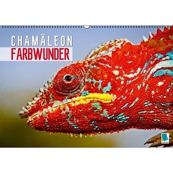 Farbwunder Chamäleon (Wandkalender 2015 DIN A2 quer), Calvendo