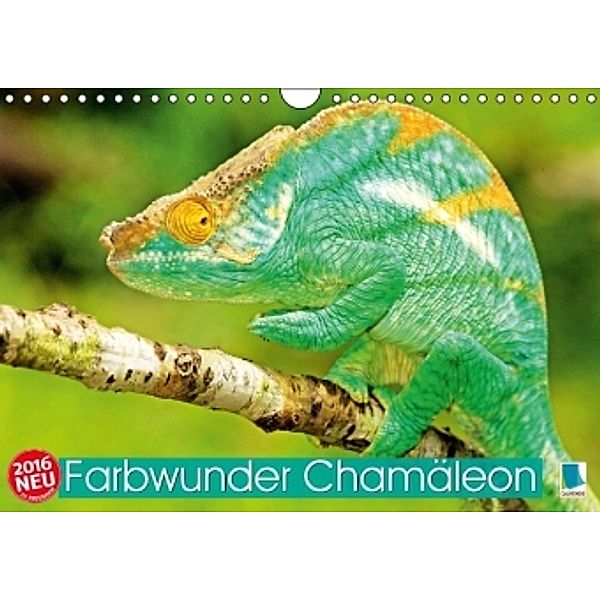 Farbwunder Chamäleon (Wandkalender 2016 DIN A4 quer), Calvendo