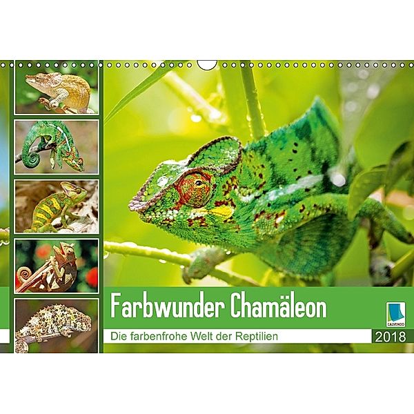 Farbwunder Chamäleon (Wandkalender 2018 DIN A3 quer), Calvendo