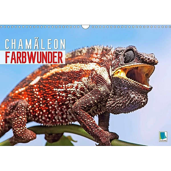 Farbwunder Chamäleon (Wandkalender 2021 DIN A3 quer), Calvendo