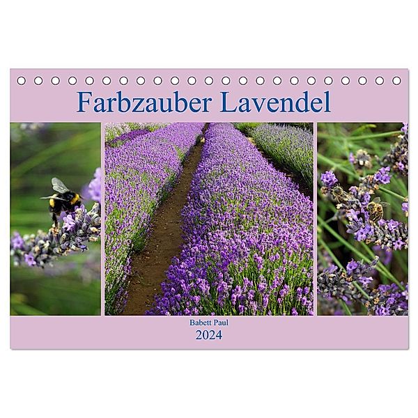 Farbzauber Lavendel (Tischkalender 2024 DIN A5 quer), CALVENDO Monatskalender, Babett Paul - Babett's Bildergalerie