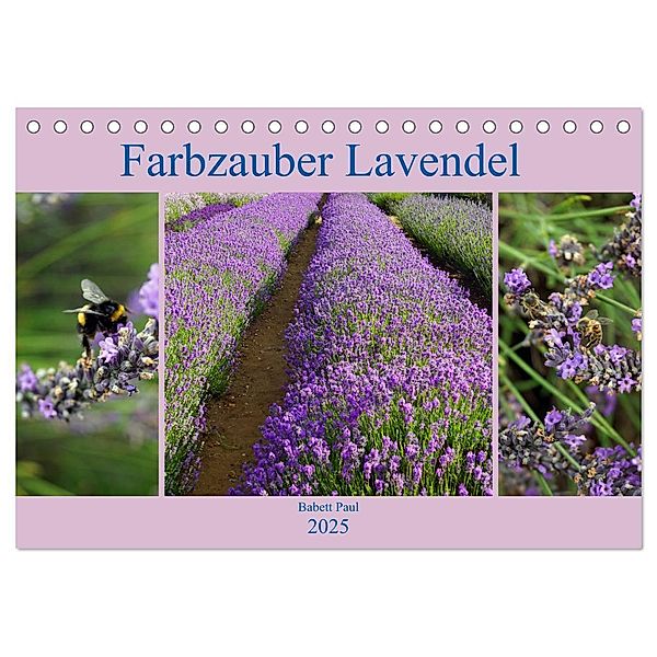 Farbzauber Lavendel (Tischkalender 2025 DIN A5 quer), CALVENDO Monatskalender, Calvendo, Babett Paul - Babett's Bildergalerie