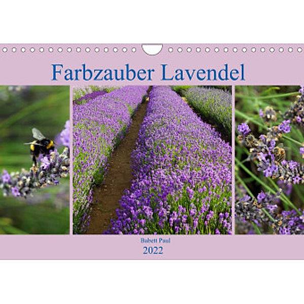 Farbzauber Lavendel (Wandkalender 2022 DIN A4 quer), Babett Paul - Babett's Bildergalerie