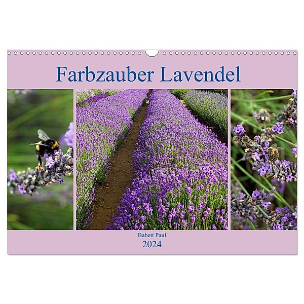 Farbzauber Lavendel (Wandkalender 2024 DIN A3 quer), CALVENDO Monatskalender, Babett Paul - Babett's Bildergalerie