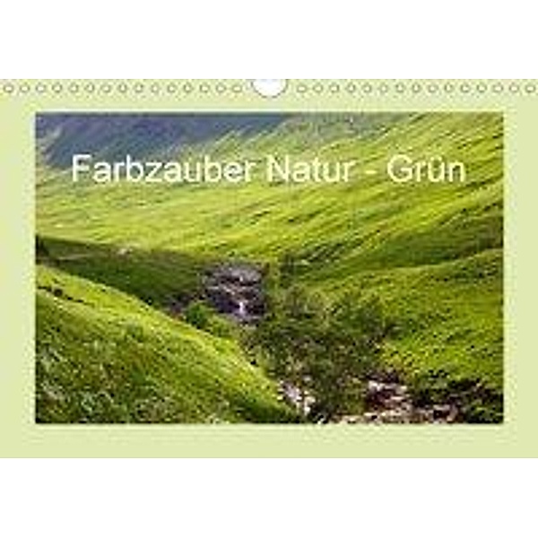 Farbzauber Natur - Grün (Wandkalender 2020 DIN A4 quer), Babett Paul - Babett's Bildergalerie
