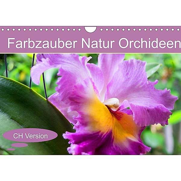 Farbzauber Natur Orchideen - CH Version (Wandkalender 2022 DIN A4 quer), Babett Paul - Babett's Bildergalerie