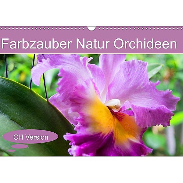 Farbzauber Natur Orchideen - CH Version (Wandkalender 2023 DIN A3 quer), Babett Paul - Babett's Bildergalerie