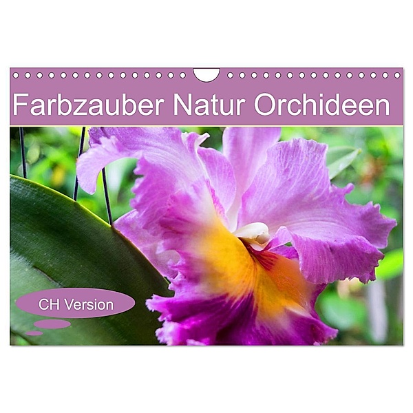 Farbzauber Natur Orchideen - CH Version (Wandkalender 2024 DIN A4 quer), CALVENDO Monatskalender, Babett Paul - Babett's Bildergalerie
