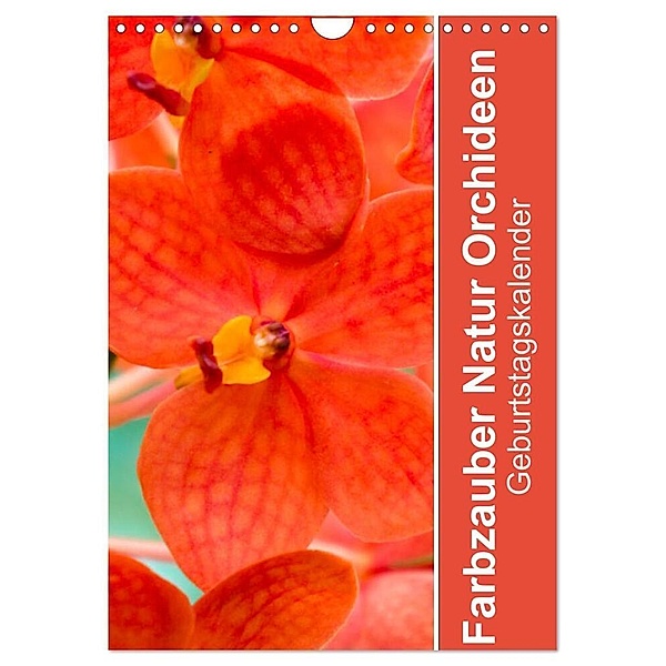 Farbzauber Natur Orchideen - Geburtstagskalender (Wandkalender 2024 DIN A4 hoch), CALVENDO Monatskalender, Babett Paul - Babett's Bildergalerie