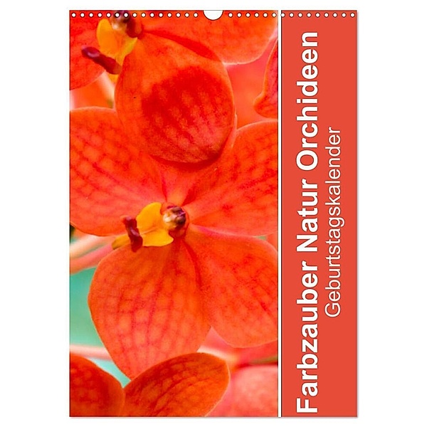 Farbzauber Natur Orchideen - Geburtstagskalender (Wandkalender 2024 DIN A3 hoch), CALVENDO Monatskalender, Babett Paul - Babett's Bildergalerie