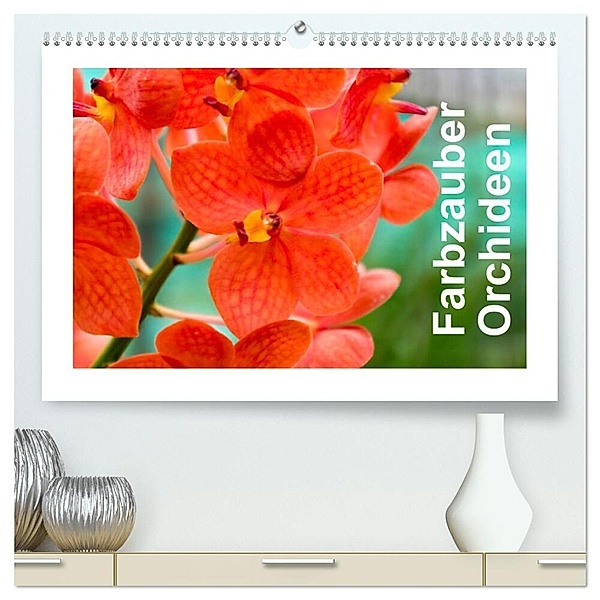 Farbzauber Orchideen (hochwertiger Premium Wandkalender 2025 DIN A2 quer), Kunstdruck in Hochglanz, Calvendo, Babett Paul - Babett's Bildergalerie