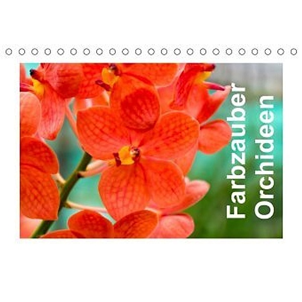Farbzauber Orchideen (Tischkalender 2020 DIN A5 quer)