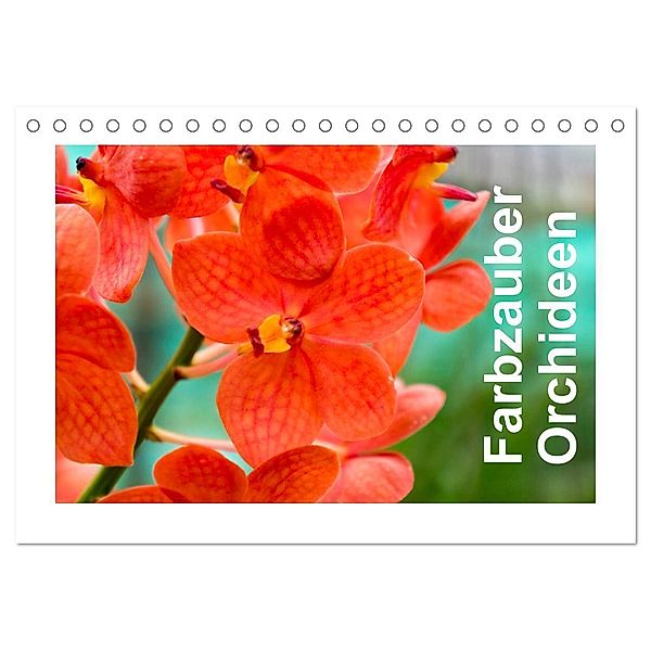Farbzauber Orchideen (Tischkalender 2024 DIN A5 quer), CALVENDO Monatskalender, Babett Paul - Babett's Bildergalerie