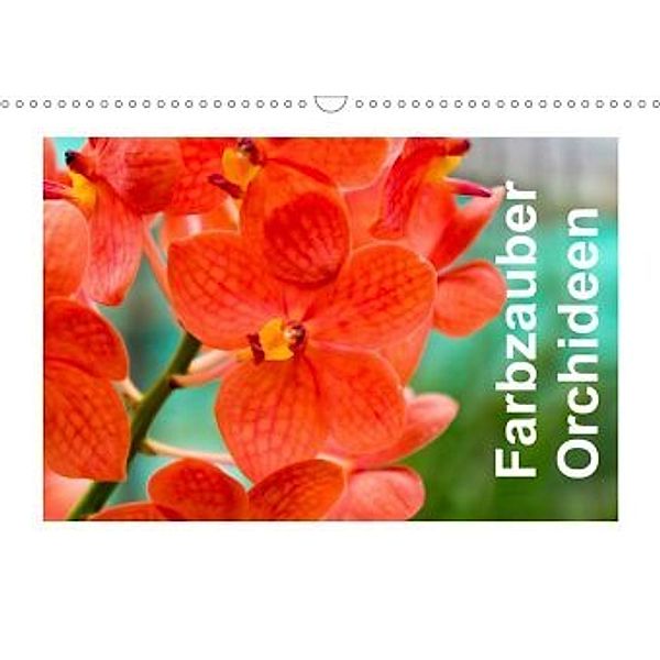 Farbzauber Orchideen (Wandkalender 2020 DIN A3 quer)