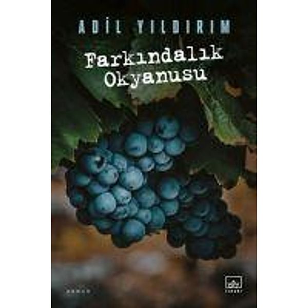 Farkindalik Okyanusu, Adil Yildirim