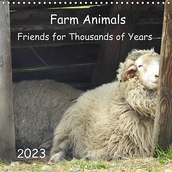 Farm Animals - Friends for Thousands of Years (Wall Calendar 2023 300 × 300 mm Square), Bettina Vier