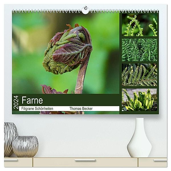 Farne - Filigrane Schönheiten (hochwertiger Premium Wandkalender 2024 DIN A2 quer), Kunstdruck in Hochglanz, Thomas Becker