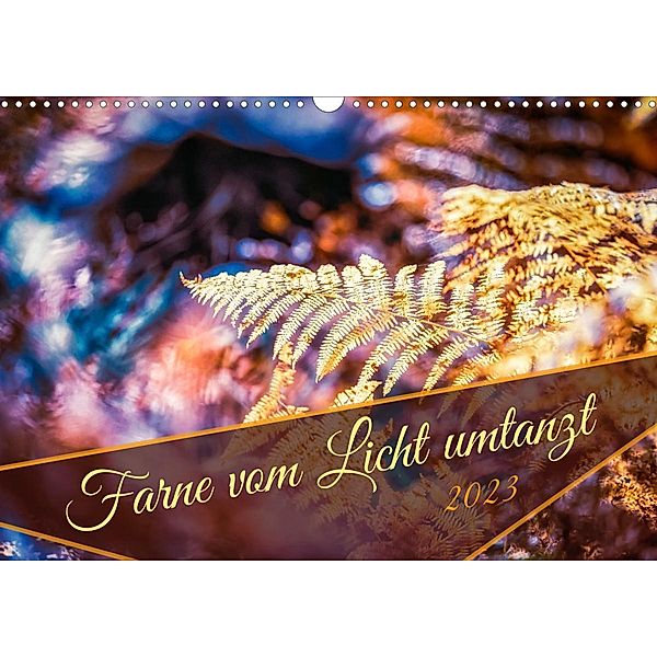 Farne vom Licht umtanzt (Wandkalender 2023 DIN A3 quer), Nicc Koch