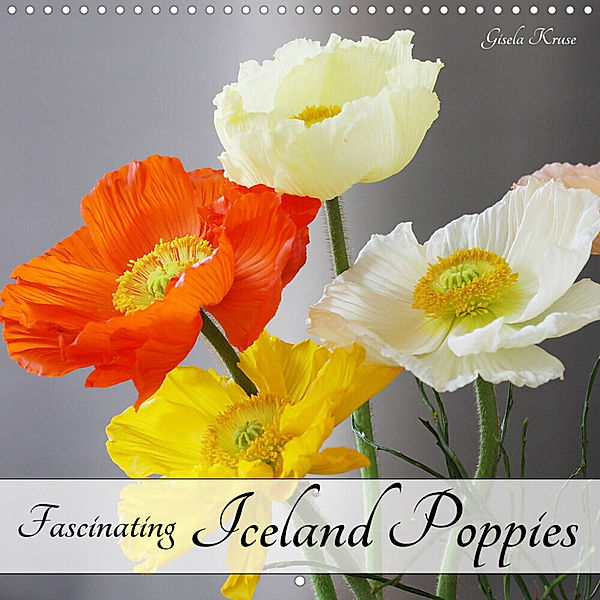 Fascinating Iceland Poppies (Wall Calendar 2023 300 × 300 mm Square), Gisela Kruse