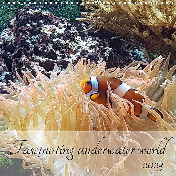 Fascinating underwater world (Wall Calendar 2023 300 × 300 mm Square), Claudia Kleemann