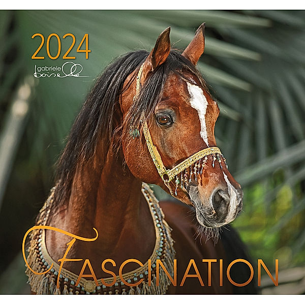 Fascination 2024, m. 1 Beilage, Gabriele Boiselle