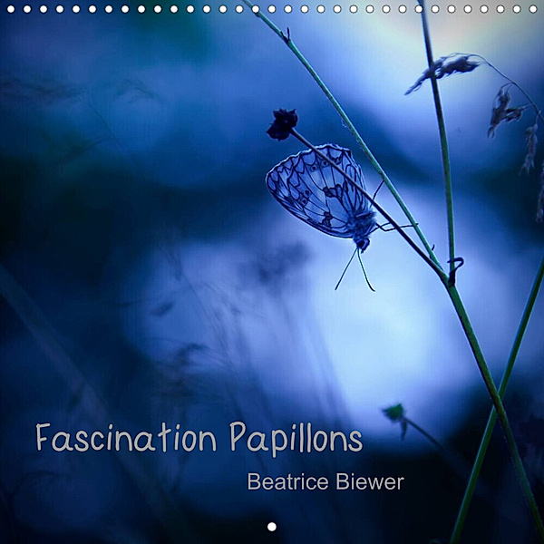 Fascination Papillons (Calendrier mural 2023 300 × 300 mm Square), Beatrice Biewer