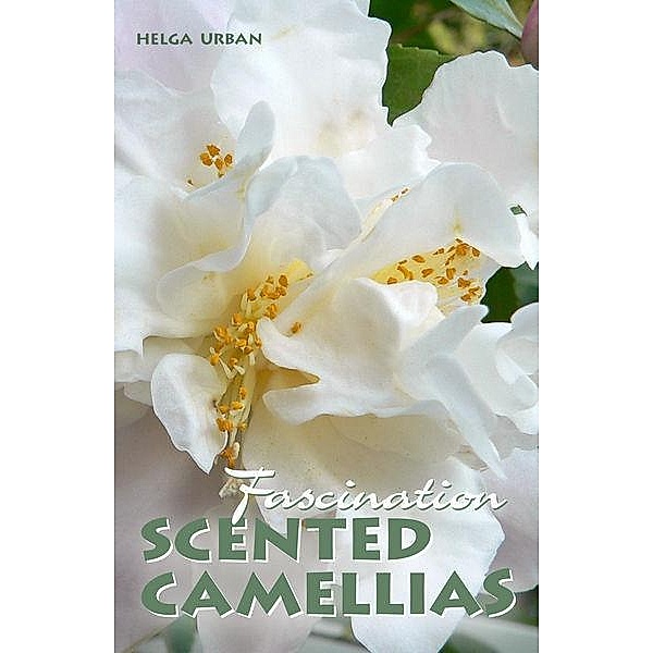 Fascination Scented Camellias, Helga Urban