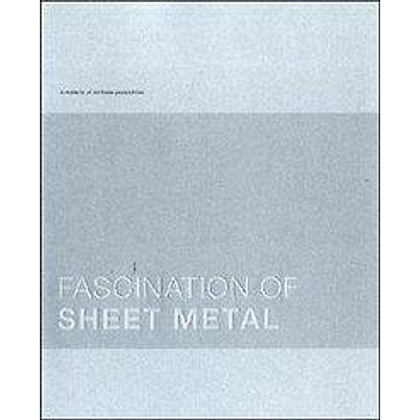 Fascination Sheet Metal, Gabriela Buchfink