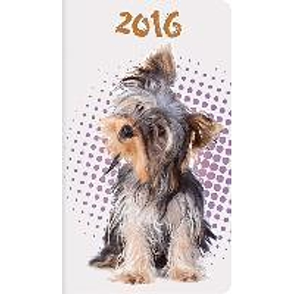 Fashion Timer Prismalux 2016 Hund