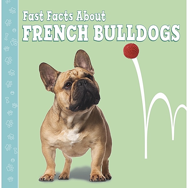 Fast Facts About French Bulldogs, Marcie Aboff