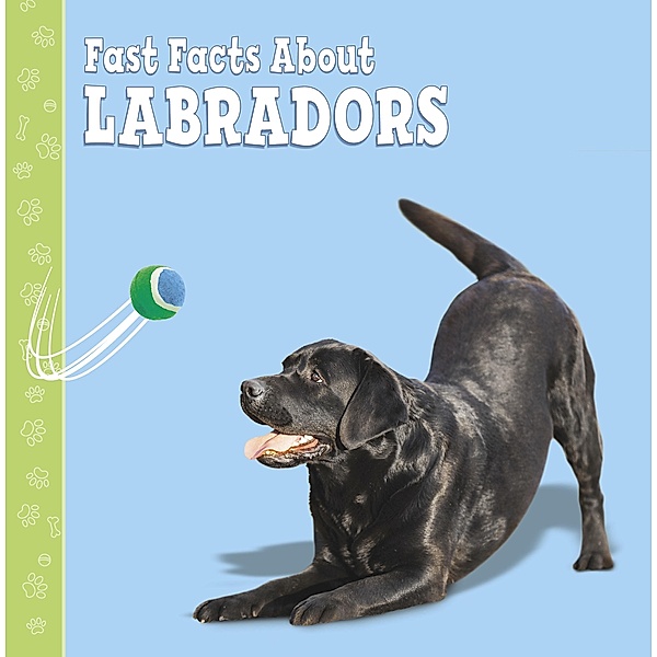 Fast Facts About Labradors, Marcie Aboff
