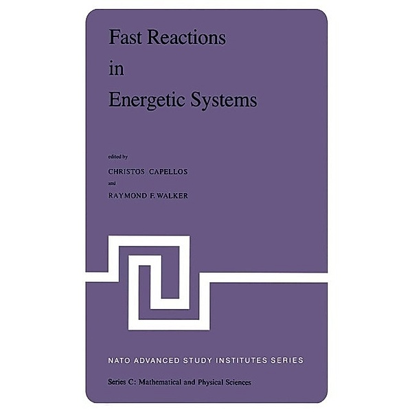 Fast Reactions in Energetic Systems / Nato Science Series C: Bd.71