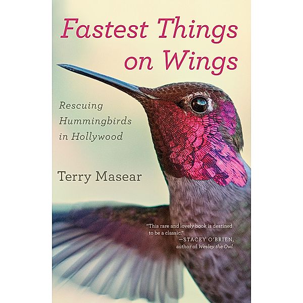 Fastest Things on Wings, Terry Masear