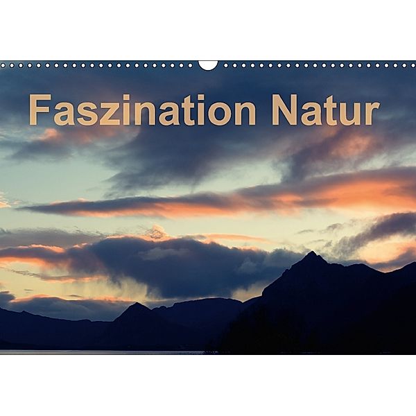 Fasziantion Natur (Wandkalender 2018 DIN A3 quer), Dieter Isemann