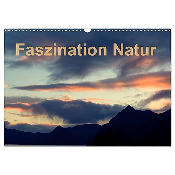 Fasziantion Natur (Wandkalender 2024 DIN A3 quer), CALVENDO Monatskalender, Dieter Isemann