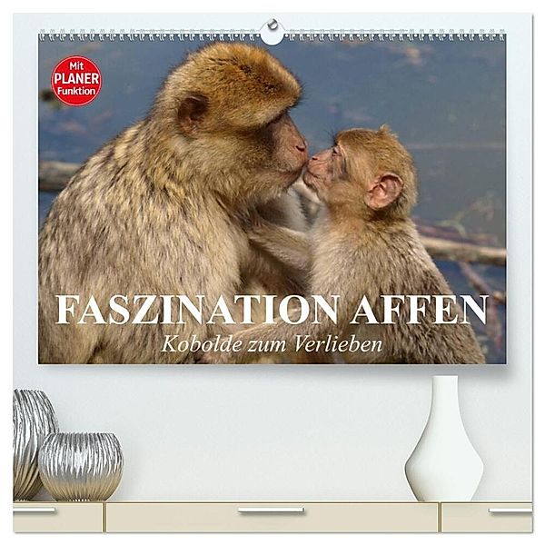 Faszination Affen. Kobolde zum Verlieben (hochwertiger Premium Wandkalender 2024 DIN A2 quer), Kunstdruck in Hochglanz, Elisabeth Stanzer