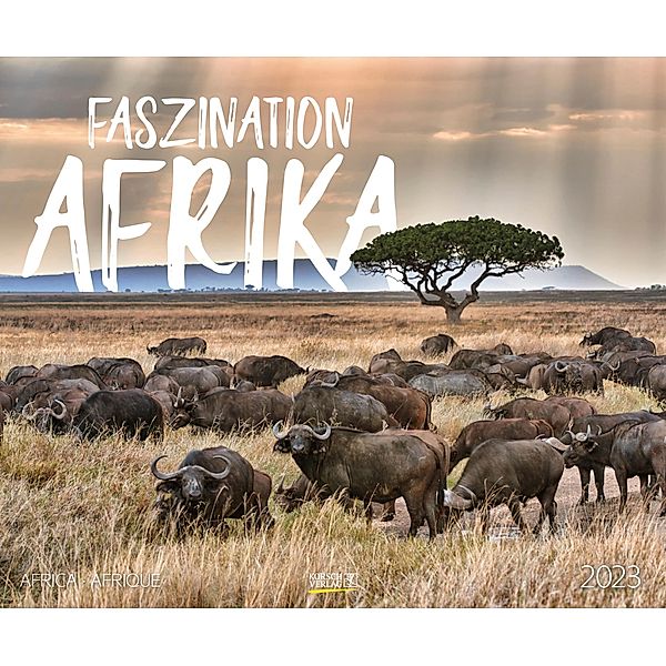 Faszination Afrika 2023
